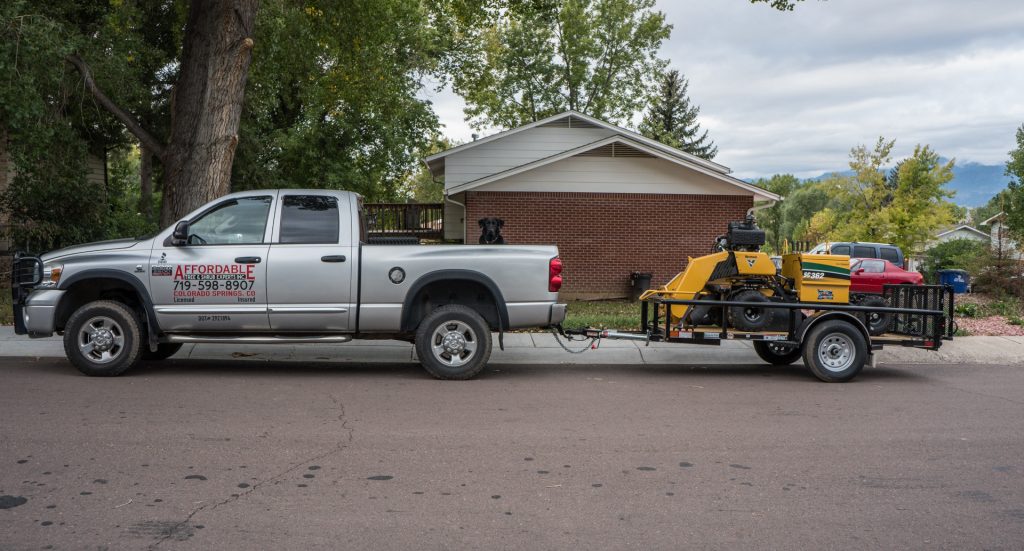 Stump Grinding & Removal Services in Colorado